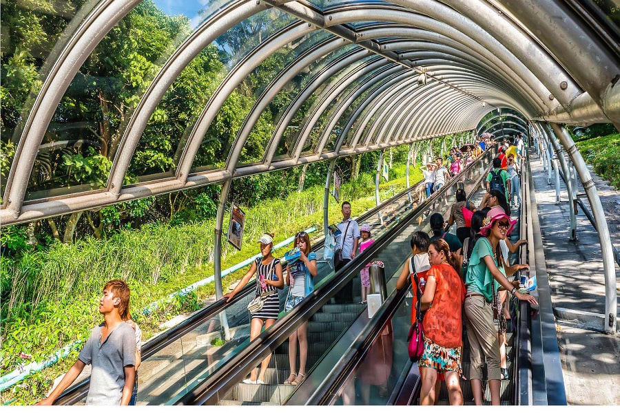 پله برقی کابل کار پارک اوشن در هنگ کنگ، چین
