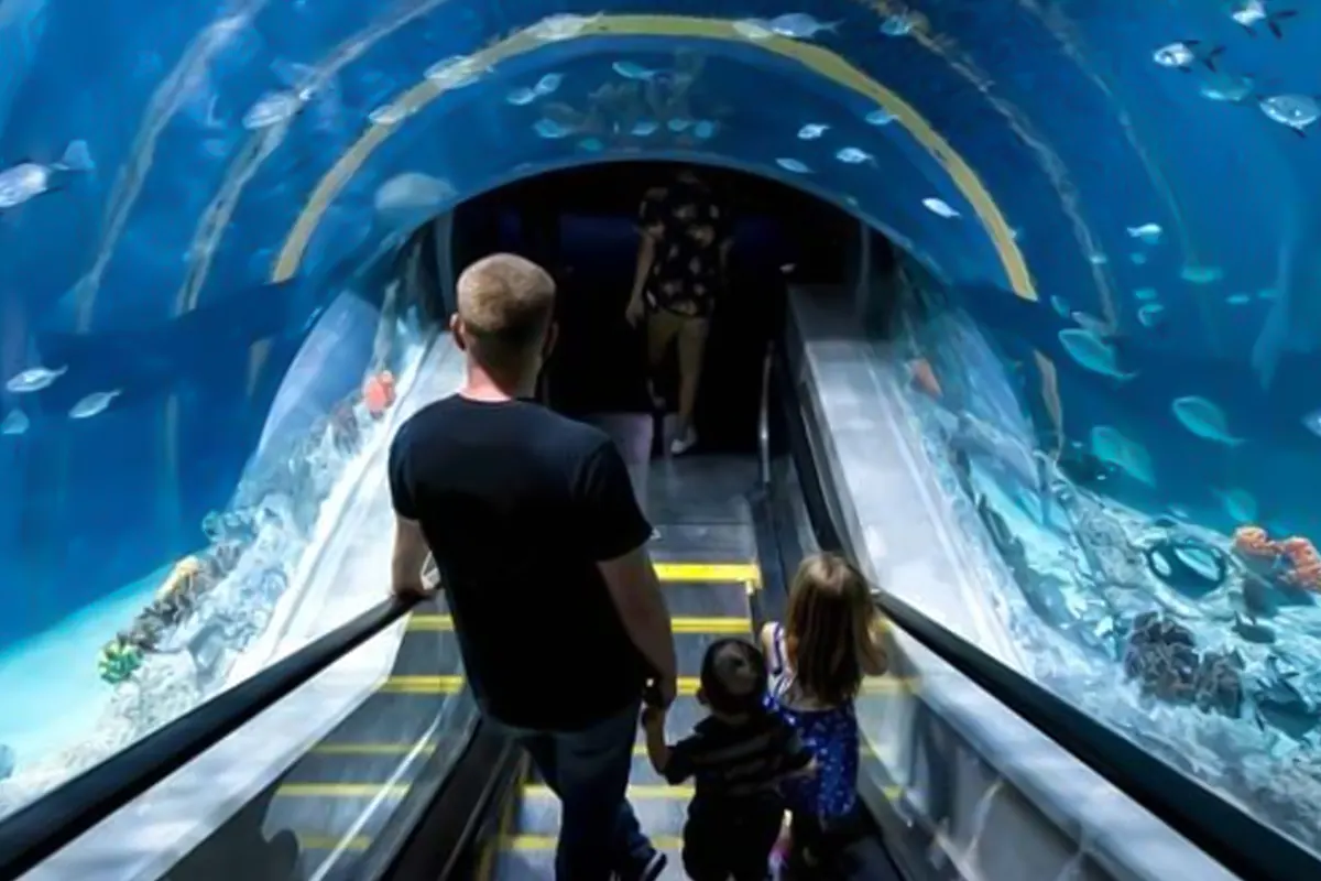 بزرگ ترین پله برقی زیر آب در جهان