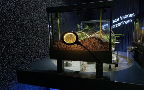 تجربه بازدیدکننده – لحظه «آها!» در آسانسور