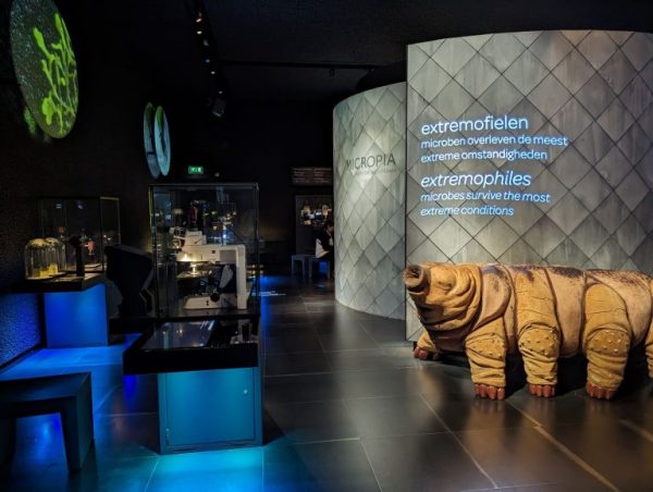 داستان جالب آسانسور مشهور میکروپیا