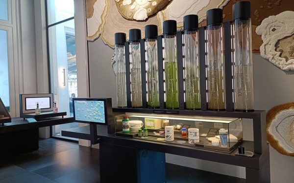 دسترسی‌پذیری و امکانات میکروپیا