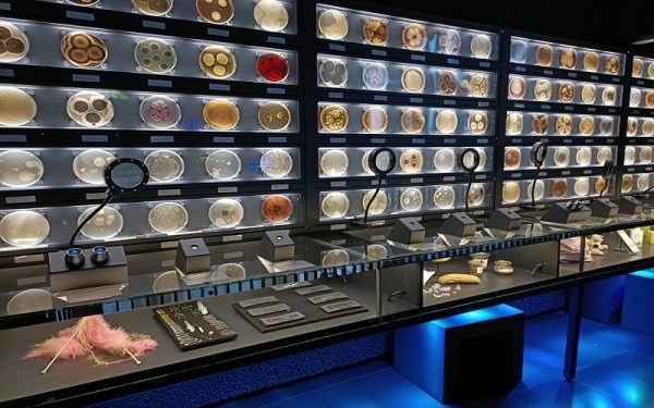 مشخصات فنی آسانسور، هنر در قالب مهندسی