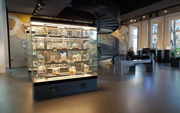 نگهداری و عملکرد آسانسور